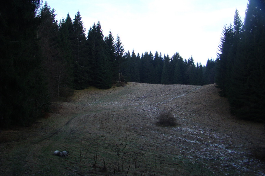 Veľký Choč (Chočské vrchy)