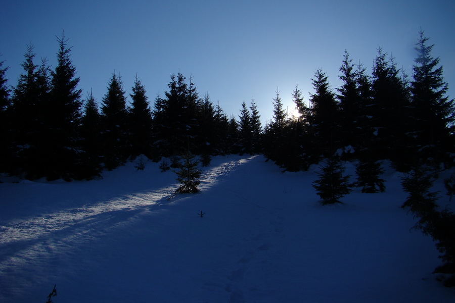 Veľký Choč (Chočské vrchy)