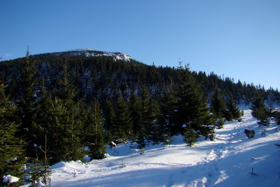 Veľký Choč (Chočské vrchy)