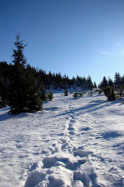 Veľký Choč (Chočské vrchy)