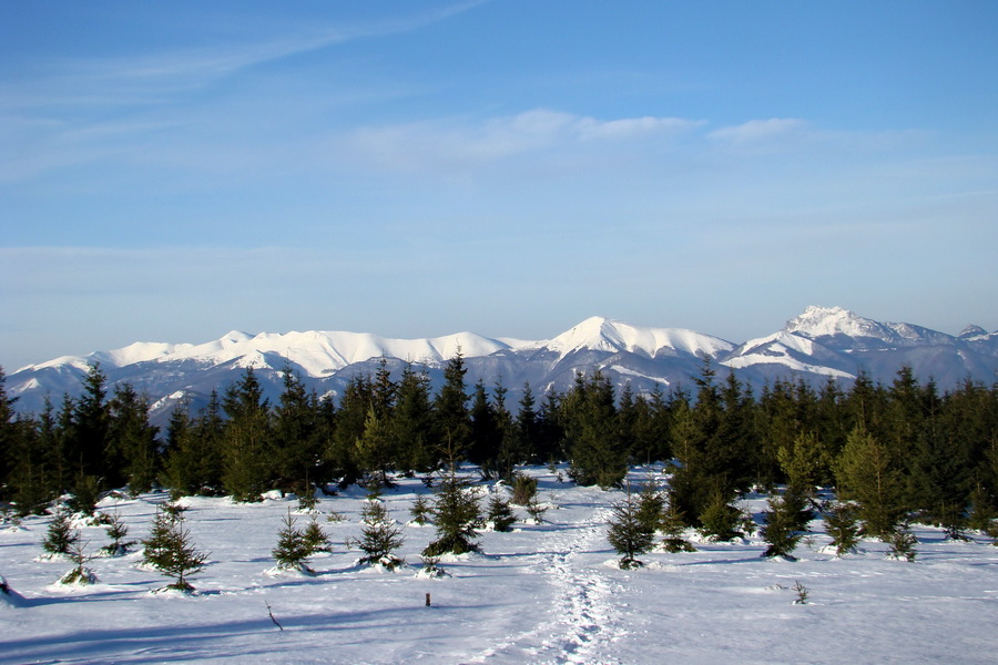 Veľký Choč (Chočské vrchy)