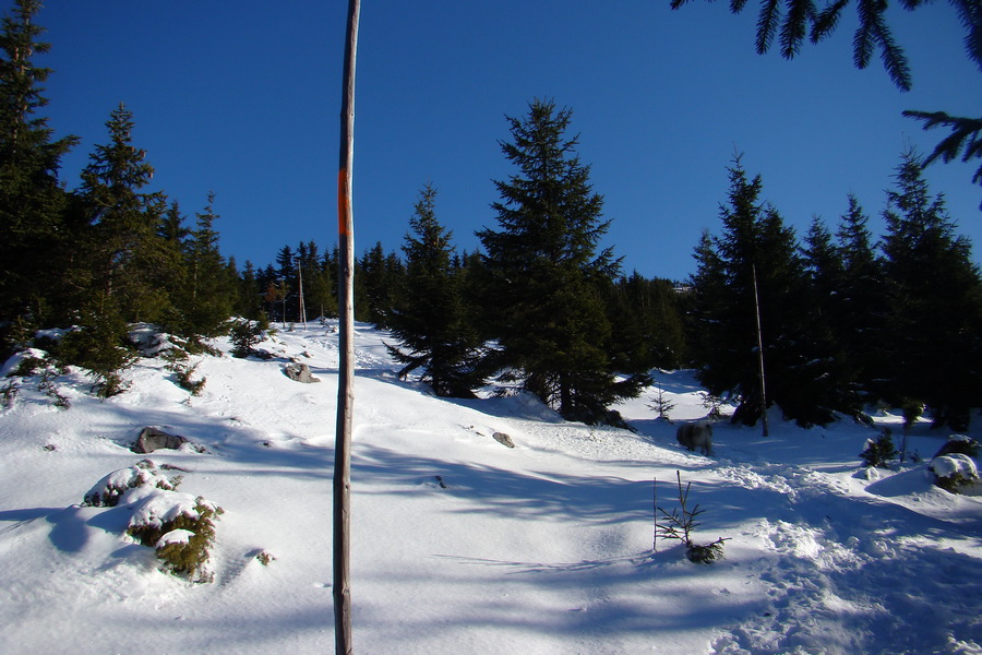 Veľký Choč (Chočské vrchy)