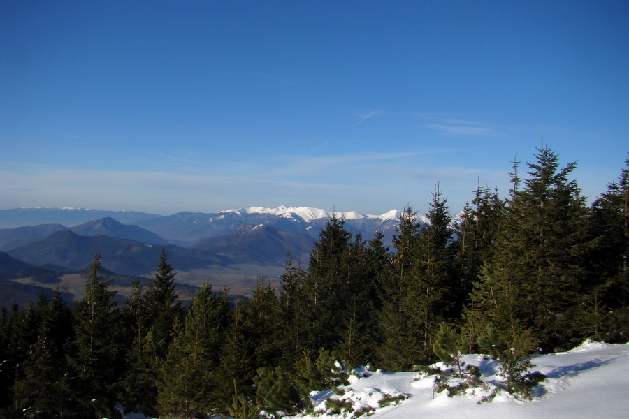 Veľký Choč (Chočské vrchy)