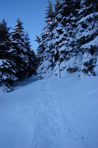 Veľký Choč (Chočské vrchy)