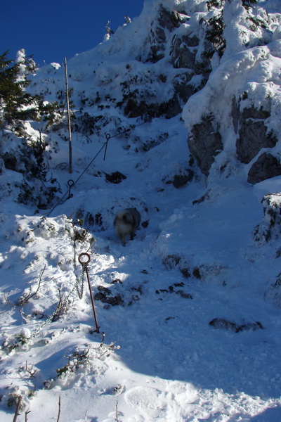 Veľký Choč (Chočské vrchy)