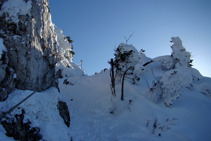 Veľký Choč (Chočské vrchy)