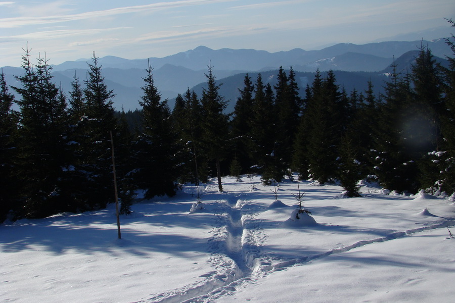 Veľký Choč (Chočské vrchy)