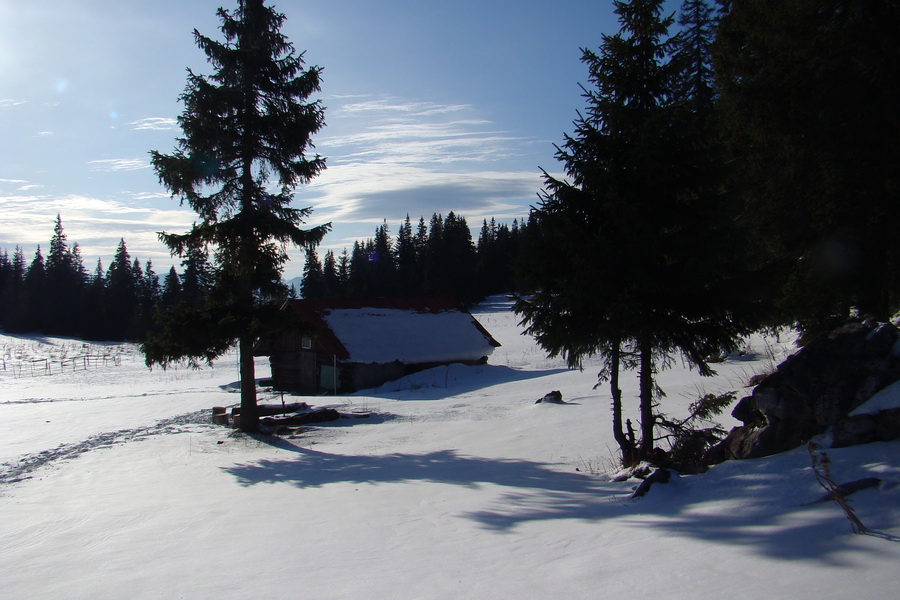 Veľký Choč (Chočské vrchy)