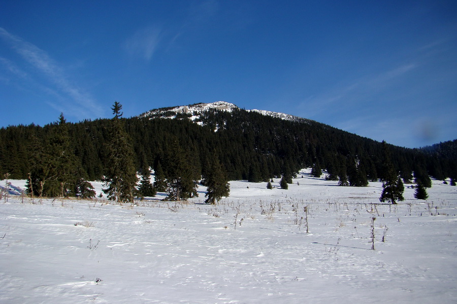 Veľký Choč (Chočské vrchy)