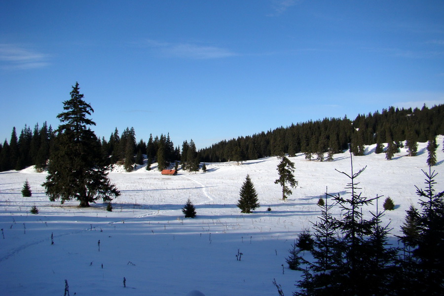 Veľký Choč (Chočské vrchy)