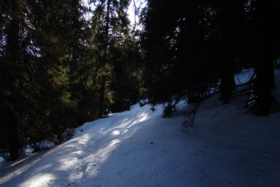 Veľký Choč (Chočské vrchy)