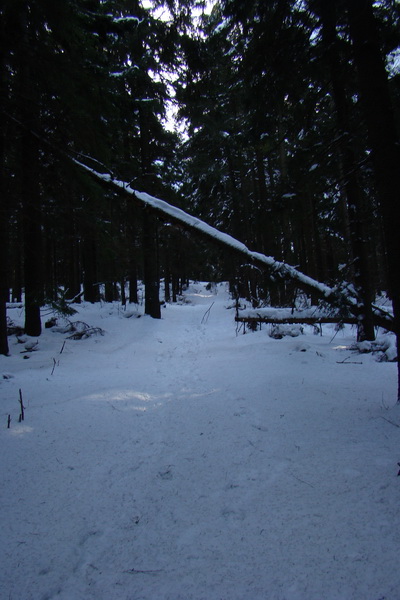 Veľký Choč (Chočské vrchy)