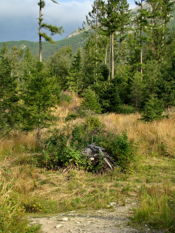 Východná Vysoká a sedlo Prielom (Vysoké Tatry)