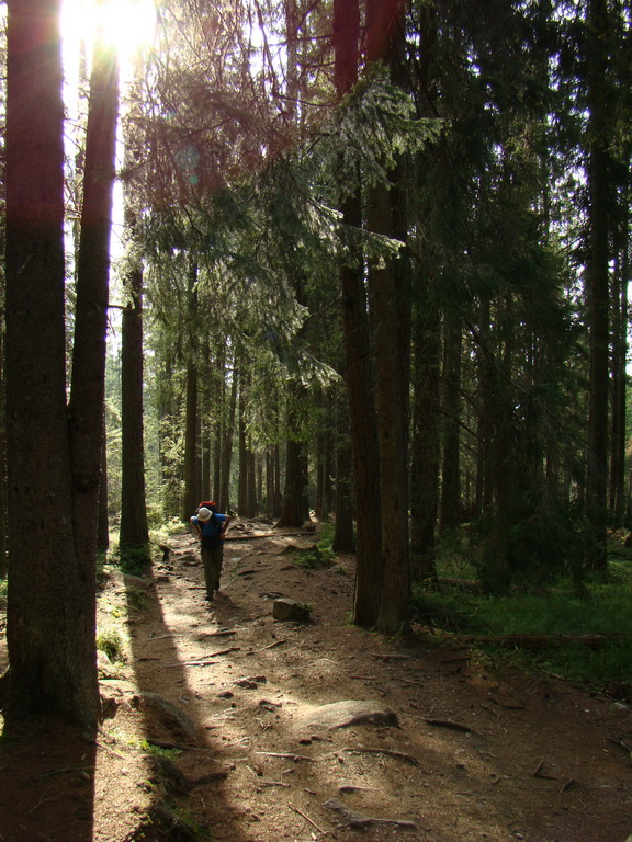 Východná Vysoká a sedlo Prielom (Vysoké Tatry)