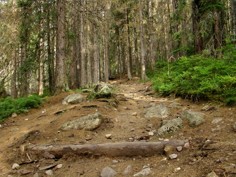 Východná Vysoká a sedlo Prielom (Vysoké Tatry)