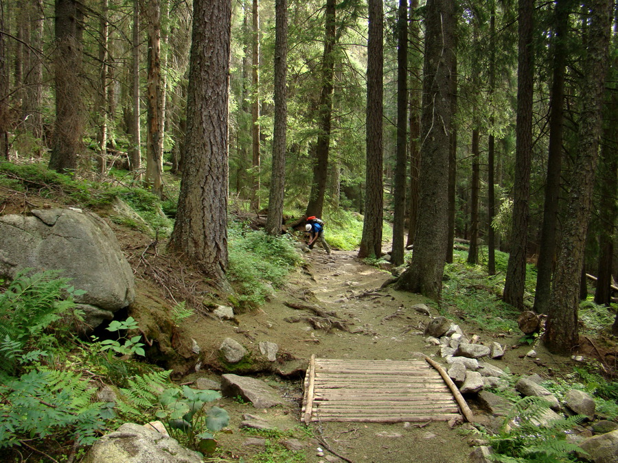 Východná Vysoká a sedlo Prielom (Vysoké Tatry)