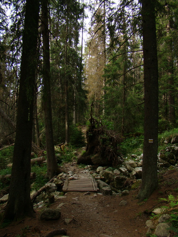 Východná Vysoká a sedlo Prielom (Vysoké Tatry)