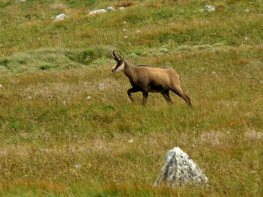 Východná Vysoká a sedlo Prielom (Vysoké Tatry)