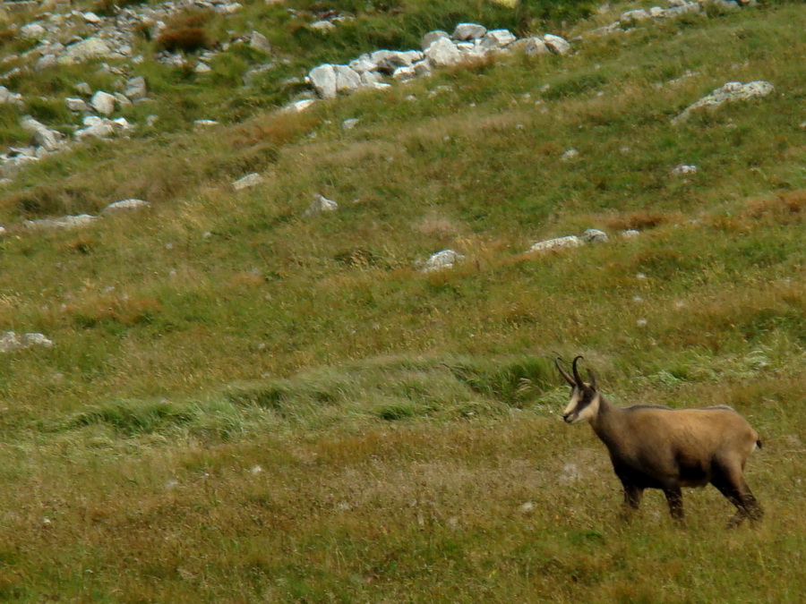 Východná Vysoká a sedlo Prielom (Vysoké Tatry)