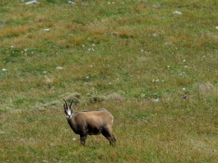 Východná Vysoká a sedlo Prielom (Vysoké Tatry)