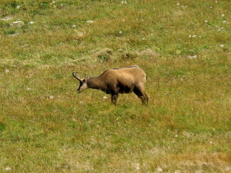 Východná Vysoká a sedlo Prielom (Vysoké Tatry)