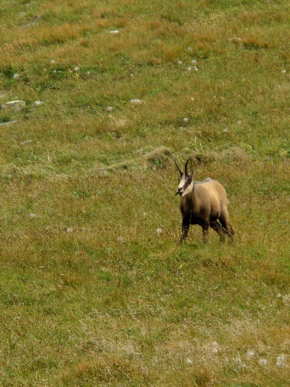 Východná Vysoká a sedlo Prielom (Vysoké Tatry)