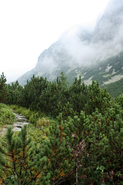 Východná Vysoká a sedlo Prielom (Vysoké Tatry)