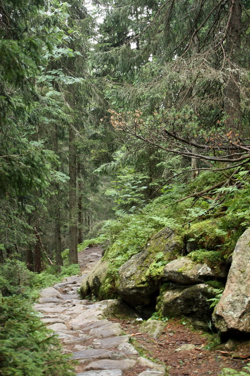 Východná Vysoká a sedlo Prielom (Vysoké Tatry)