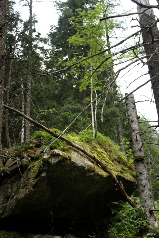 Východná Vysoká a sedlo Prielom (Vysoké Tatry)