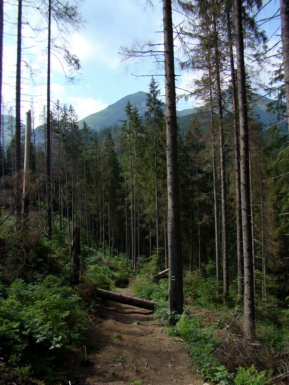 Vyšné Kopské sedlo Monkovou dolinou (Belianske Tatry)