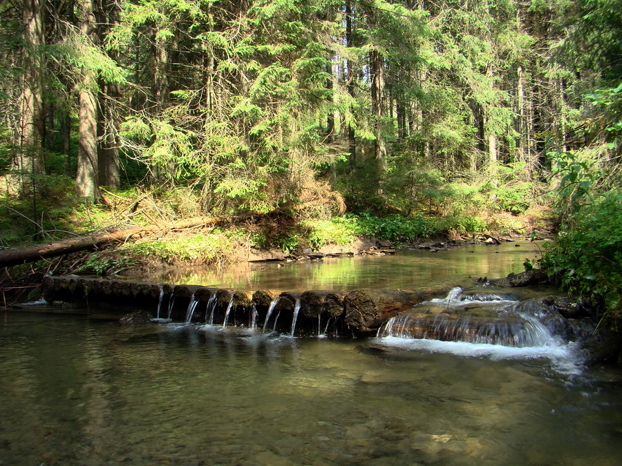 Vyšné Kopské sedlo Monkovou dolinou (Belianske Tatry)