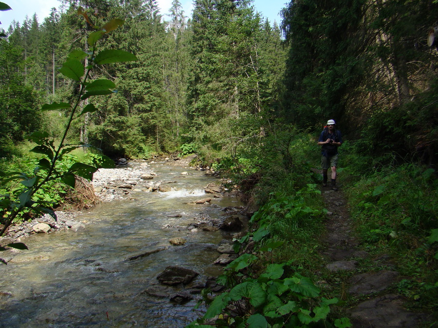 Vyšné Kopské sedlo Monkovou dolinou (Belianske Tatry)