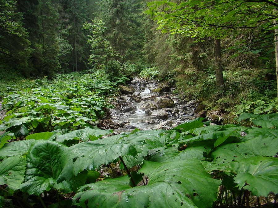 Vyšné Kopské sedlo Monkovou dolinou (Belianske Tatry)