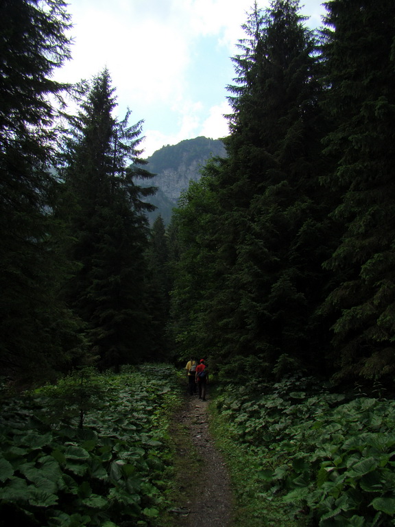 Vyšné Kopské sedlo Monkovou dolinou (Belianske Tatry)