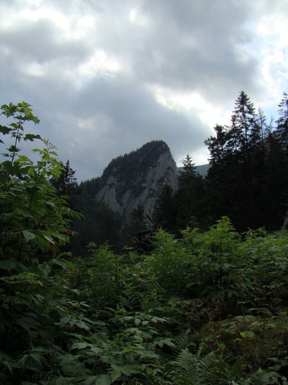 Vyšné Kopské sedlo Monkovou dolinou (Belianske Tatry)