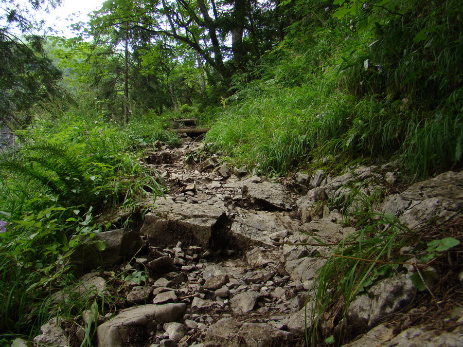 Vyšné Kopské sedlo Monkovou dolinou (Belianske Tatry)