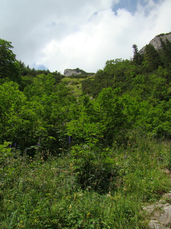 Vyšné Kopské sedlo Monkovou dolinou (Belianske Tatry)