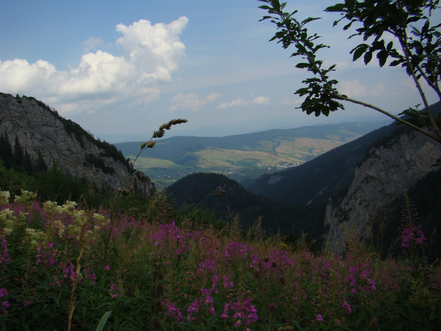 Vyšné Kopské sedlo Monkovou dolinou (Belianske Tatry)