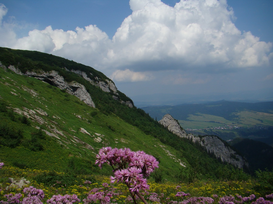 Vyšné Kopské sedlo Monkovou dolinou (Belianske Tatry)