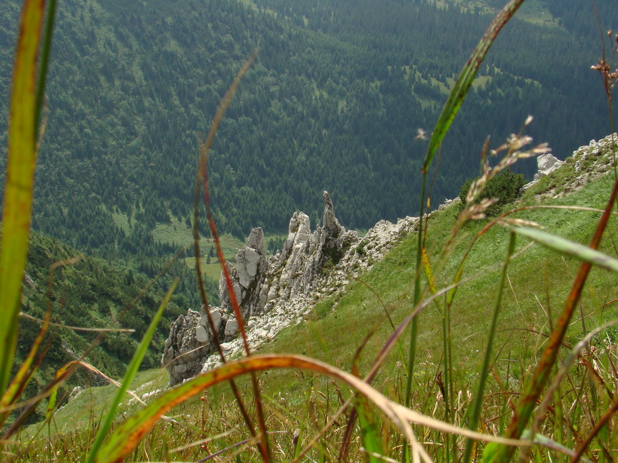 Vyšné Kopské sedlo Monkovou dolinou (Belianske Tatry)
