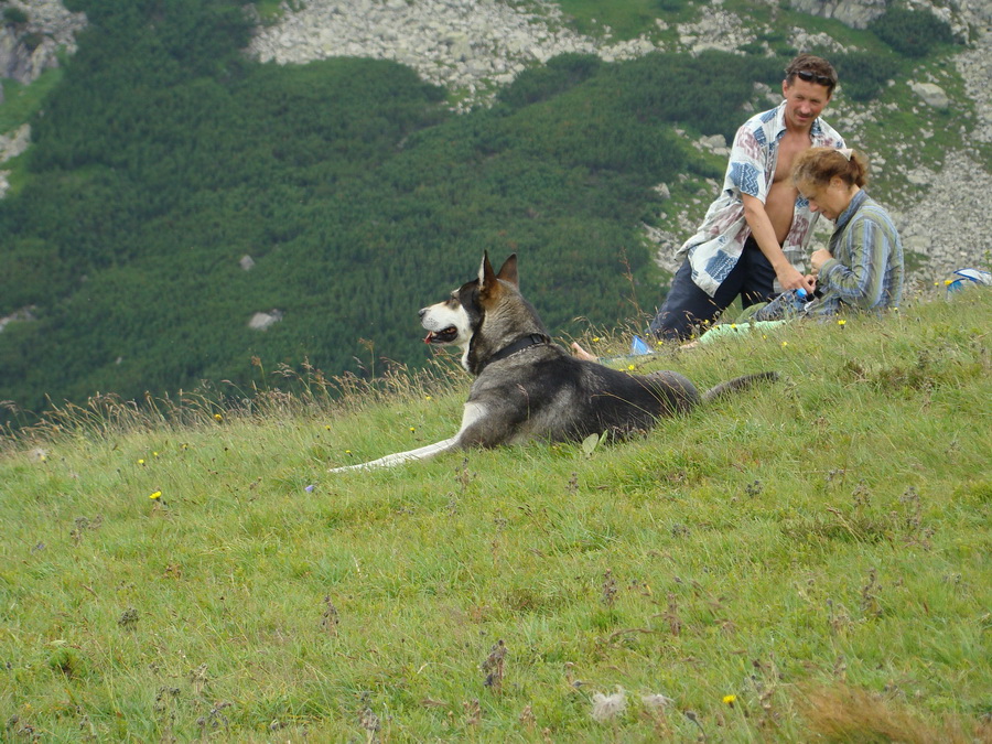 Vyšné Kopské sedlo Monkovou dolinou (Belianske Tatry)