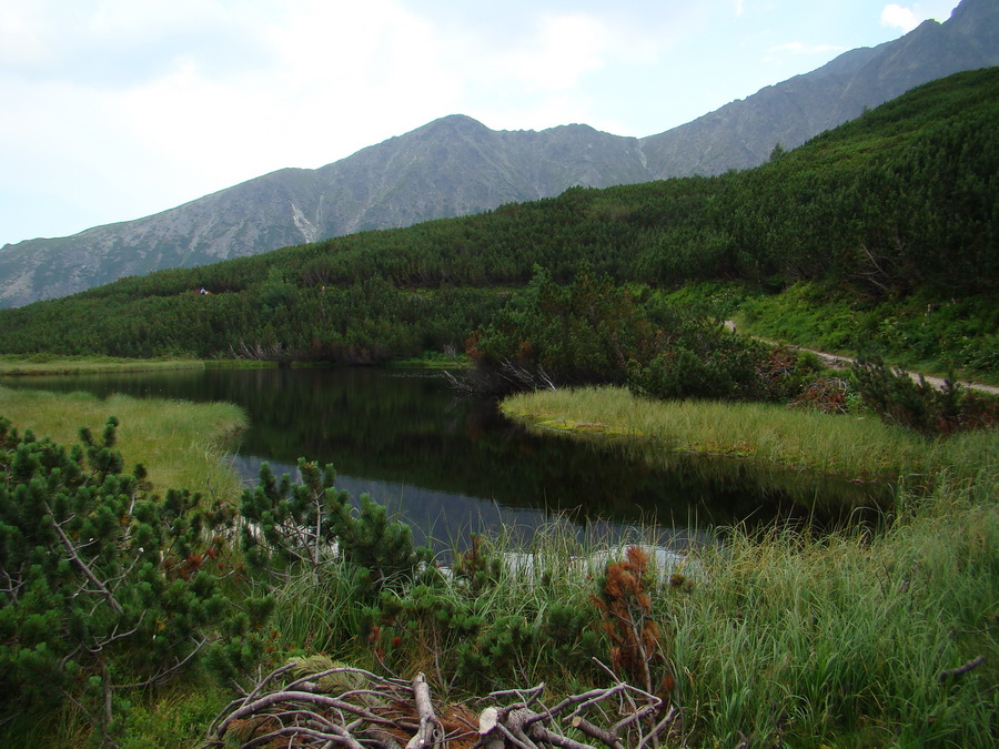 Vyšné Kopské sedlo Monkovou dolinou (Belianske Tatry)