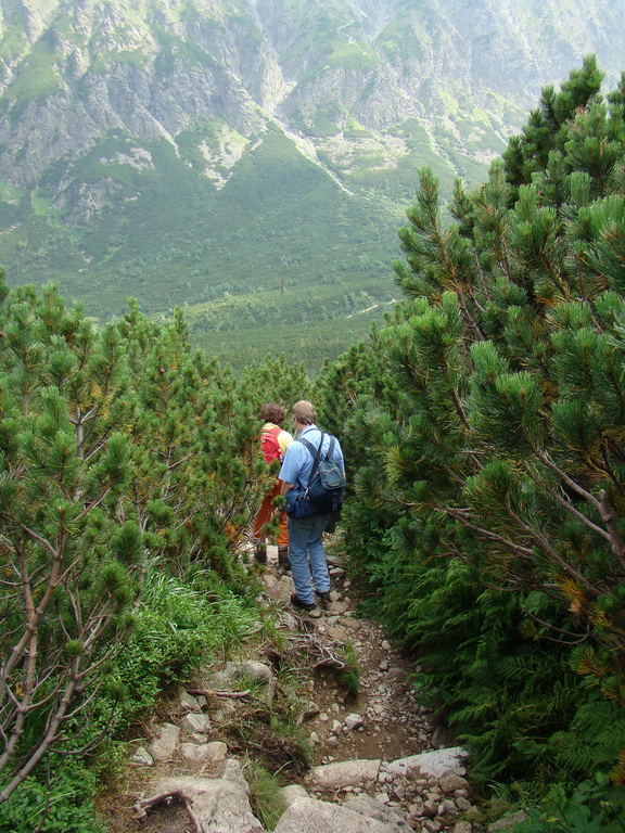 Vyšné Kopské sedlo Monkovou dolinou (Belianske Tatry)