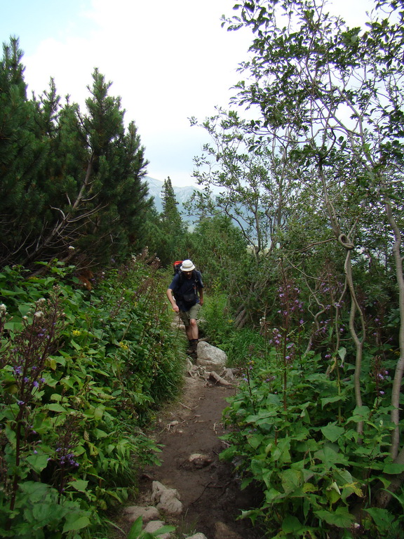 Vyšné Kopské sedlo Monkovou dolinou (Belianske Tatry)