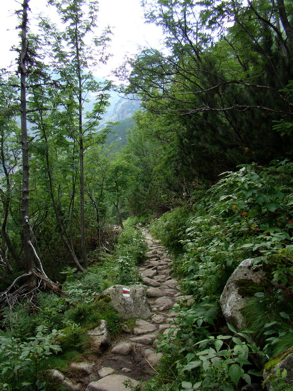 Vyšné Kopské sedlo Monkovou dolinou (Belianske Tatry)