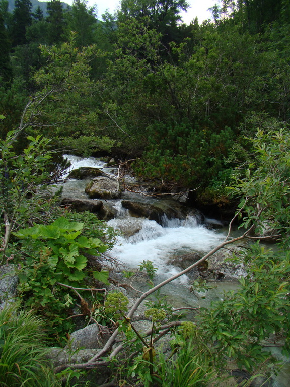 Vyšné Kopské sedlo Monkovou dolinou (Belianske Tatry)