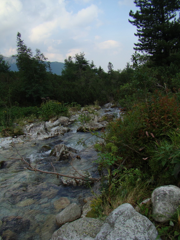 Vyšné Kopské sedlo Monkovou dolinou (Belianske Tatry)