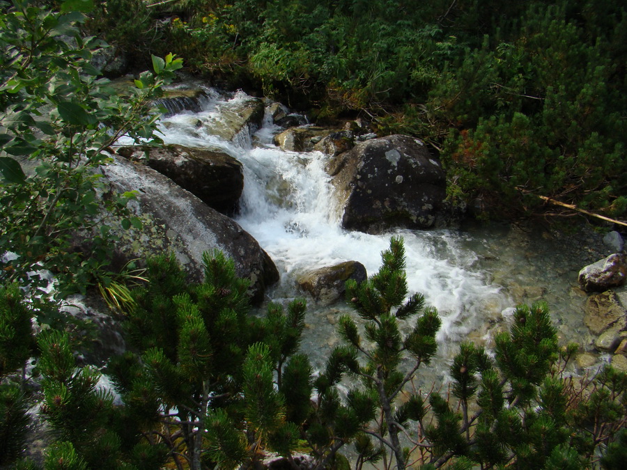 Vyšné Kopské sedlo Monkovou dolinou (Belianske Tatry)