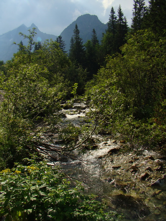 Vyšné Kopské sedlo Monkovou dolinou (Belianske Tatry)