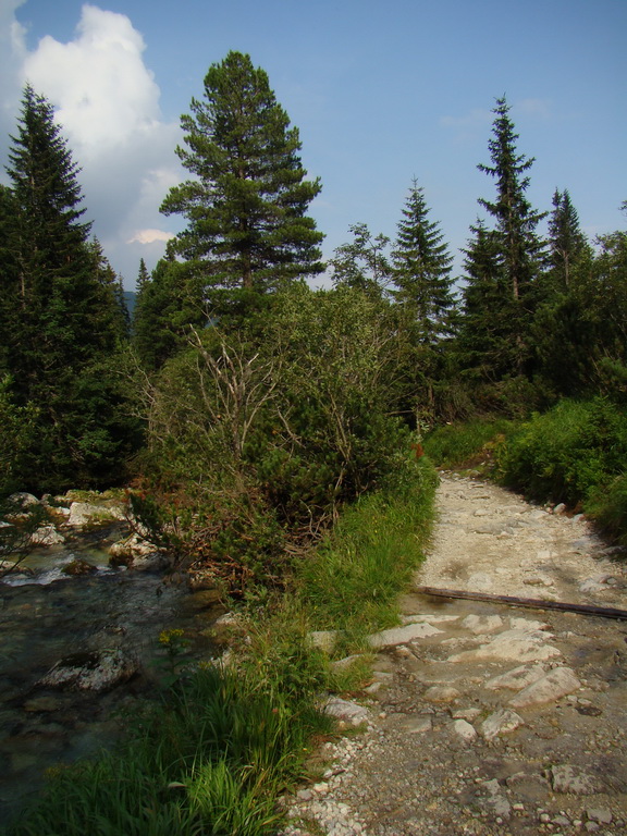 Vyšné Kopské sedlo Monkovou dolinou (Belianske Tatry)